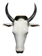 Decoração De Parede Cabeça De Boi Nelore Empalhada Country